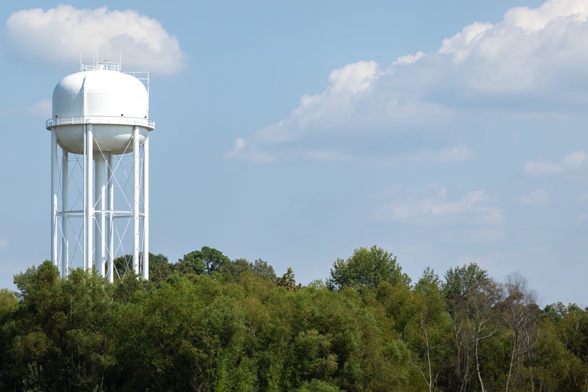 A tall water tower standing above a canopy of green trees